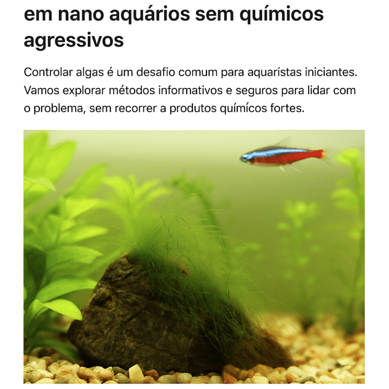 Como controlar algas em nano aquários sem químicos agressivos